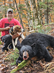 Caught A Black Bear While Hunting In Maine